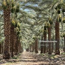 Agriculture land for Sale