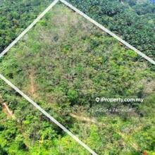 Spacious 10 Acres Agricultural Land Kuala Pilah, Negeri Sembilan