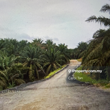 7.1 Acres Agricultural Land Senai Seelong 