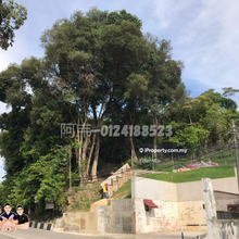 Agriculture land for Sale