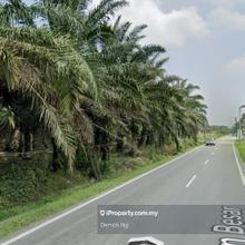 Bukit Teh Jalan Besar Beside Road Agricultural Land For Rent
