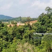 Batu 14,Kuantan - Agriculture Land