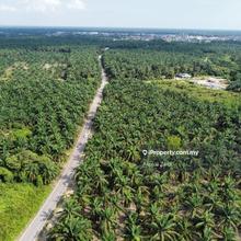 Industrial Land Ready Infra 