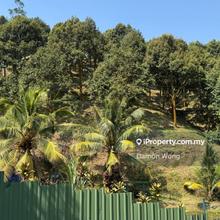 Agriculture land for Sale