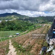 Agriculture land for Sale