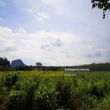 1st Layer Agriculture Land at Chuping Padang Besar Kangar Perlis