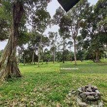 Agriculture land for Sale