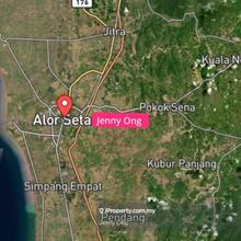 Agriculture Land At Alor Setar For Sale