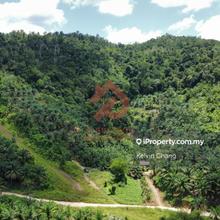 Palm Oil Land, Beaufort For Sale
