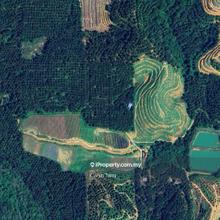 Selama Redang Panjang Agricultural Land For Sale 