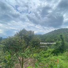 Karak good buy agriculture land 