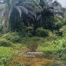 For Sale agriculture land 