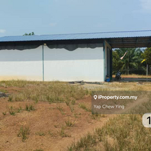 26acres Durian Farm @ Negeri Sembilan 4 km from Simpang Pertang Town