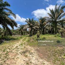 Kota tinggi land for sale