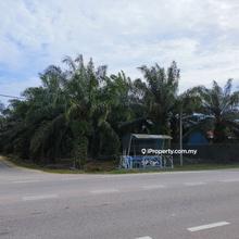 Jalan Salleh Batu 4 facing main road oil palm land