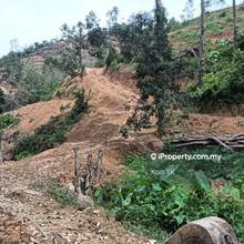 Jelebu Agriculture land 
