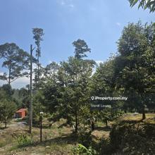 5 acres Negeri Sembilan Durian Land Main Road For Sale