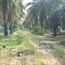 Prime Flat Land