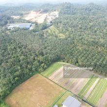 Batang Kali , Rawang , Rasa , Agriculture Land For Sale