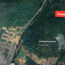 Durian Farm For Sale Balik Pulau 6.218 Acre