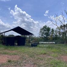 5 Acres Agriculture Land For Sale, Simpang Ampat Alor Gajah Mekala