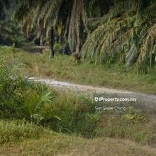 Agriculture land for Sale