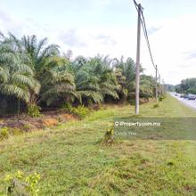 Beside main road oil palm land for cheap sale at Jalan Kampar - Temoh, Batang Padang, Chenderiang
