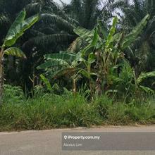 For Sale. Agriculture Land @ Penerok, Kukup