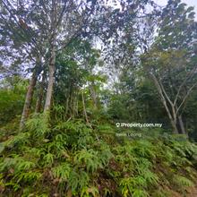 9 acres Bentong (Acasia Retreat) Rubber Land for Sale