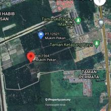 Tanah Pertanian Ketapang Tengah Pekan Pahang , Pekan