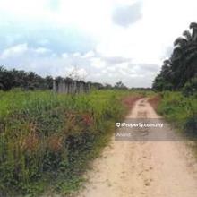 Agriculture land for Sale