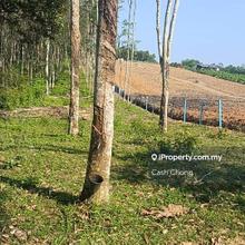 Agriculture Land for Sale