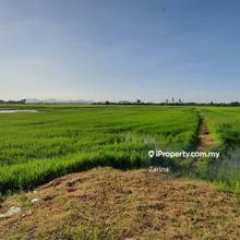 Paddy Field (Bendang) For sale