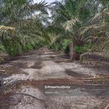 For Sale.Argiculture Land@Pontian Kecil