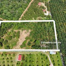 Complete Infra! land for sale Batang Kali Freehold Non bumi