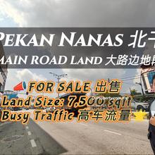 Pekan Nanas Main Road Land For Sale