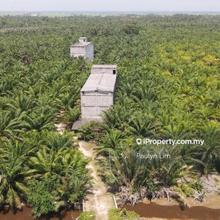 High Roi! 1.5acres With & 30x100sf Bird Nest Building @ Tanjong Karang