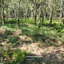 Pahang, Jamburias, Karak, 3.6 Acred Agricultural Land For Sale 