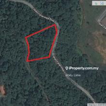 Land for Sale at Jalan tanarimba pine, Janda baik, Bentong