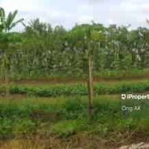 Bungalow land for Sale