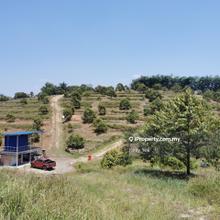 Durian Orchard Farm @ Kuala Kangsar for Sale