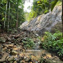 Agriculture land for Sale