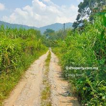 Agriculture Land For Sale in Broga Semenyih Hulu Langat