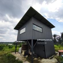 Kluang Durian plantation for sale.