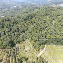 For Sale: Agricultural Land @ Bentong