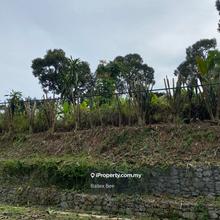Roadside Land