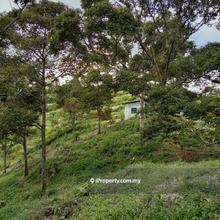Agriculture land for Sale