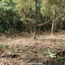 Broga Mutiara Hill Residential Freehold land for Sale 