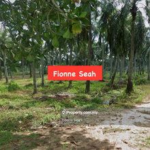 Nibong Tebal 9 acres Agriculture Land For Sale