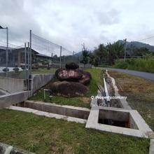 Mukim, Kampung Bukit Tinggi Flat land